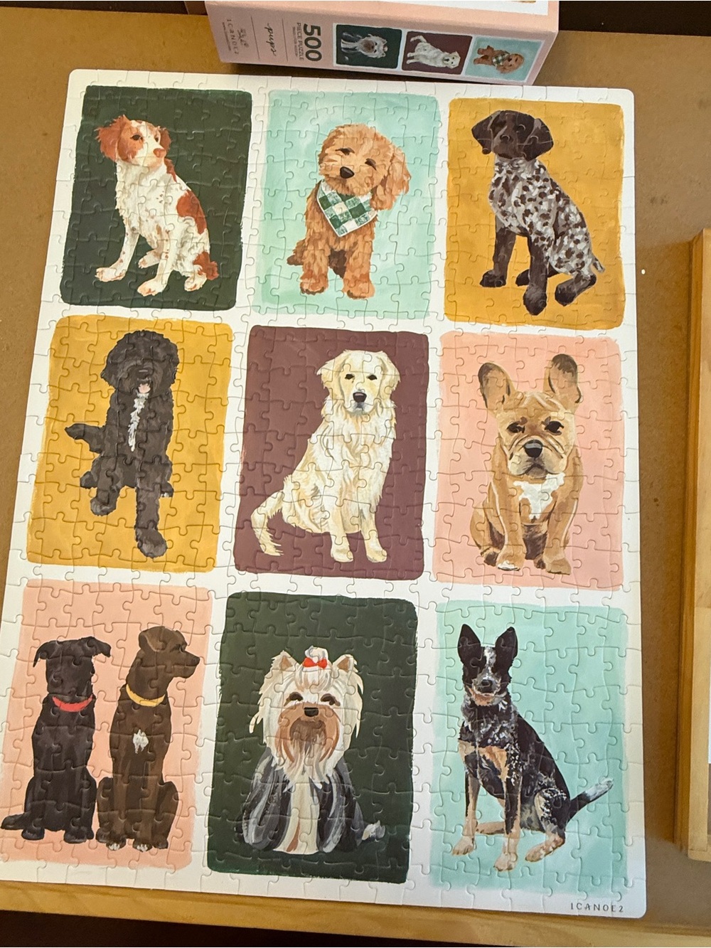 1Canoe2 Pups 500 Piece Dogs Jigsaw Puzzle